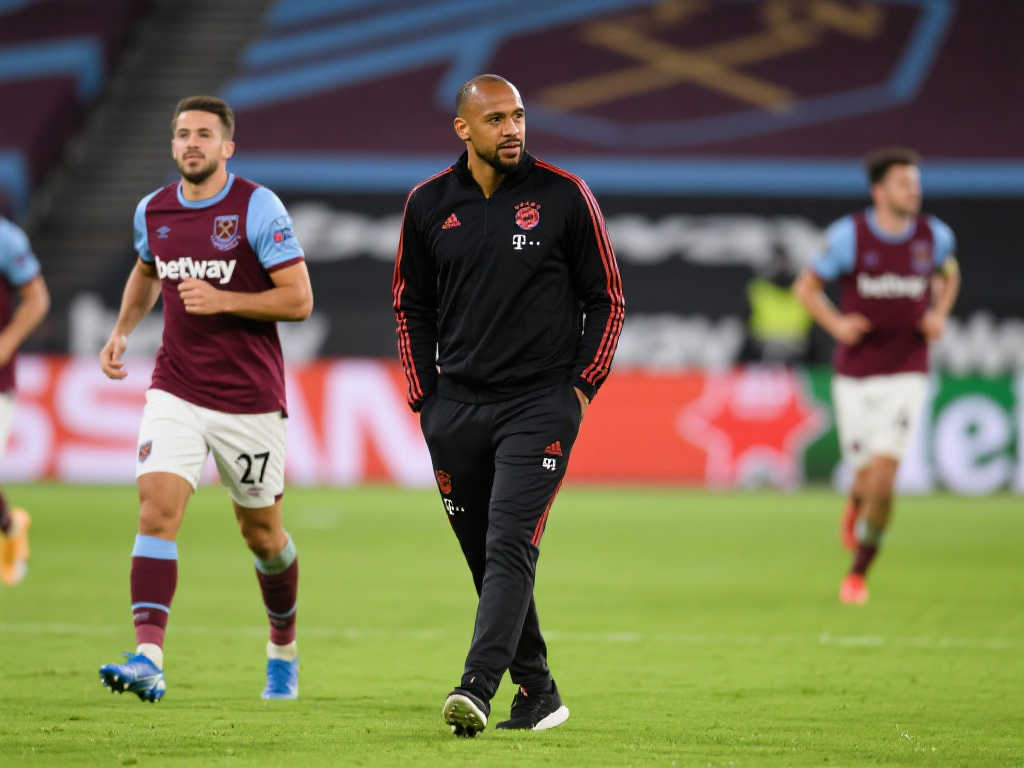 崎的防线 崎的防线